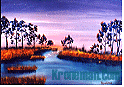 Oil Paintings